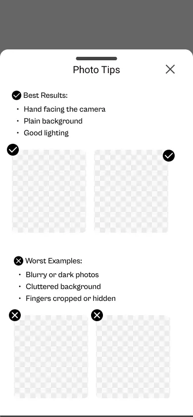 Competitive Analysis